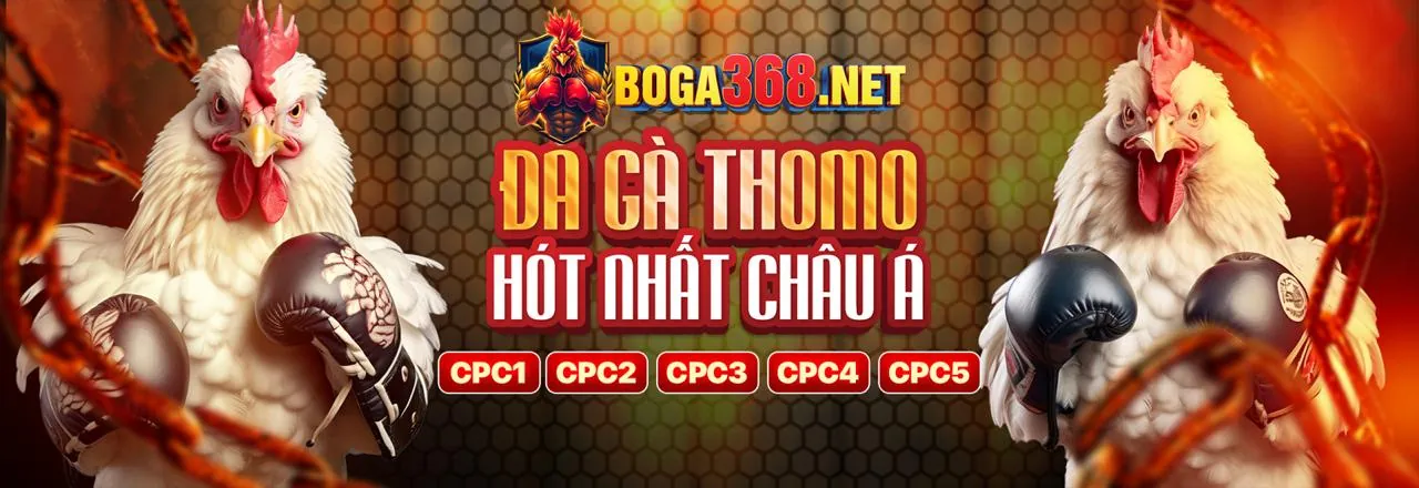 Sân vận động bóng đá với khán giả cổ vũ và logo caxeng win
